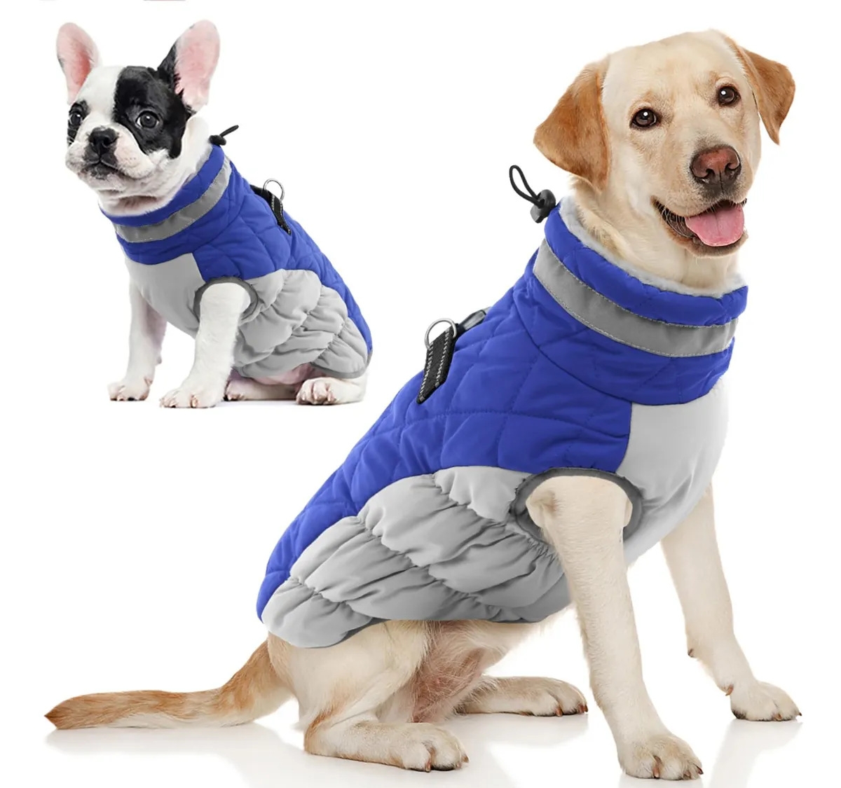 Abrigo Chaleco de Invierno para Perro con Forro Polar Azul y Rojo - Calidez y Confort para Mascotas en Climas Fríos