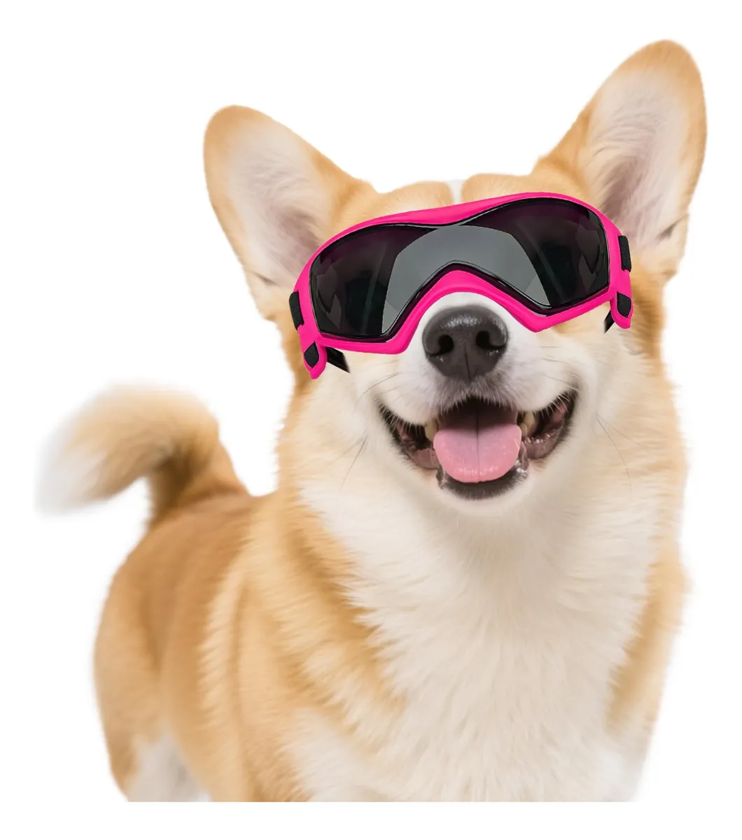 Anteojos de Sol para Perro de Raza Media con Protección UV - Accesorios para Mascotas Seguros y con Estilo - Diseño Robusto y Color Rosa Brillante