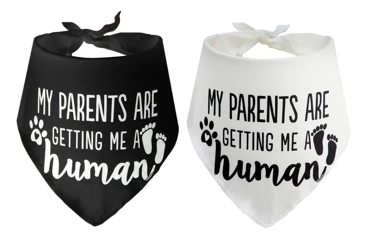 2 Bandanas Reveladoras de Género para Perro - Ideal para Fiesta de Género y Anuncios Sorpresa - Accesorios para Mascotas Divertidos y Únicos