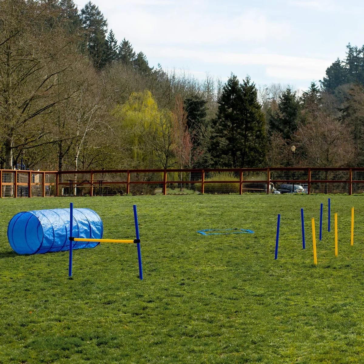 Equipo de Entrenamiento de Agilidad para Perros - Pista de Obstáculos ...