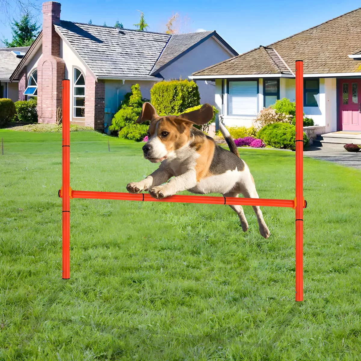 Kit de Entrenamiento de Agilidad para Perros Ajustable | Completo para ...