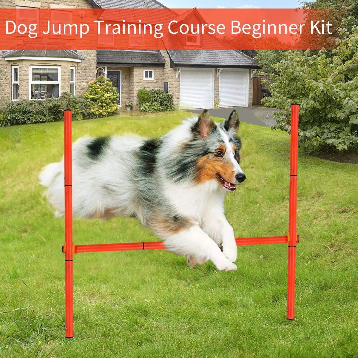 Kit de Entrenamiento de Agilidad para Perros Ajustable | Completo para ...