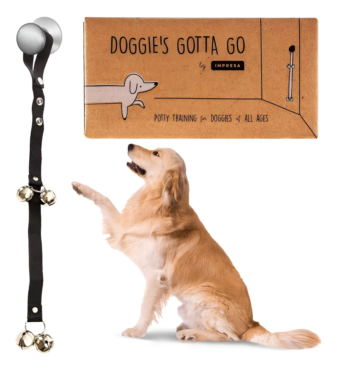 Campana Entrenamiento Perros para Hacer Necesidades | Ayuda a tu Mascota a Aprender Fácilmente | Adiestramiento Canino Profesional