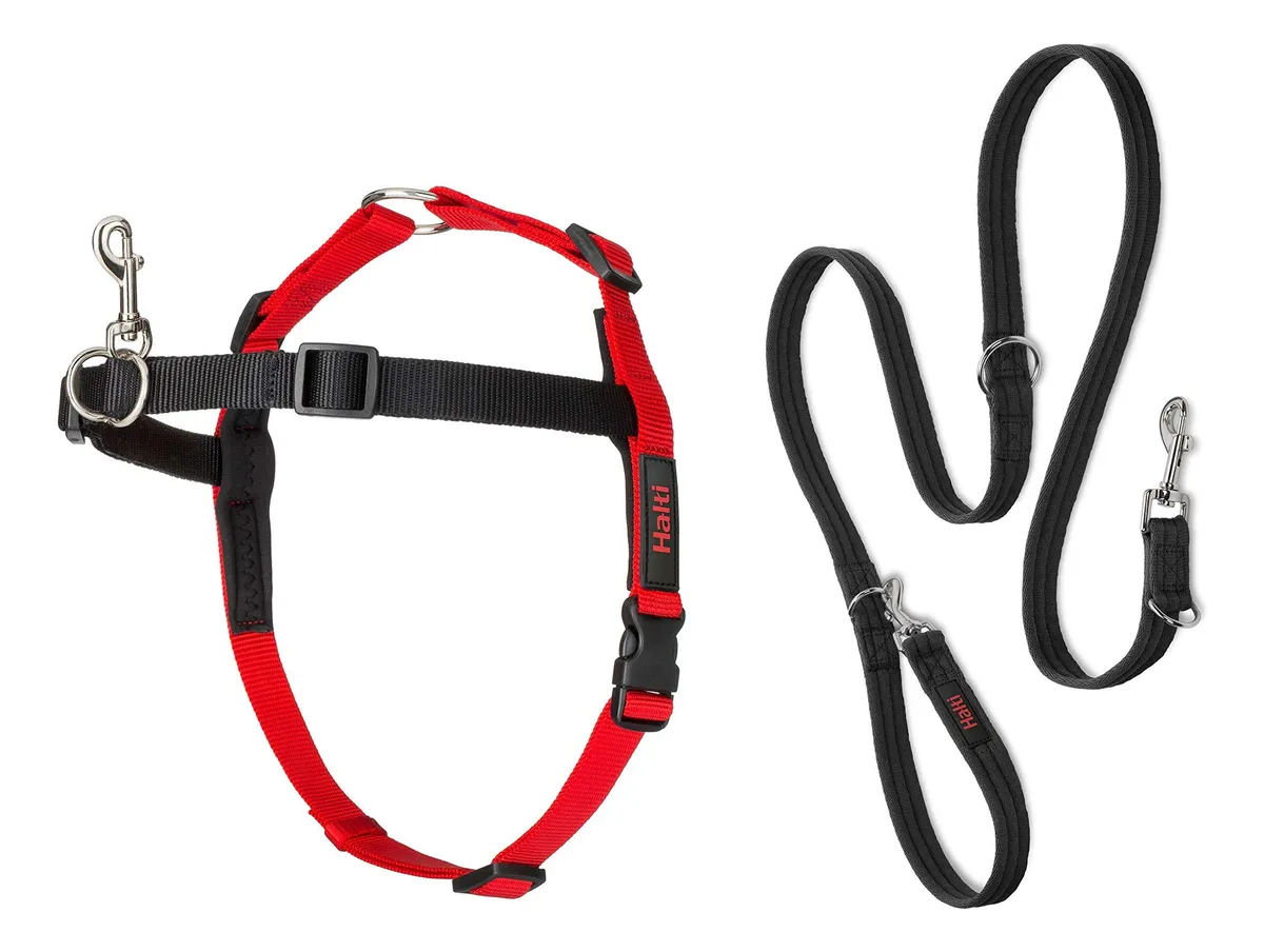 Arnés de Control Frontal y Correa de Entrenamiento para Perros - Negro, Ajustable y Resistente - Ideal para Paseo y Adiestramiento Canino